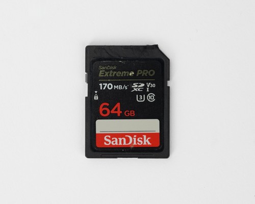 Scheda memoria sdxc sandisk - scheda, di