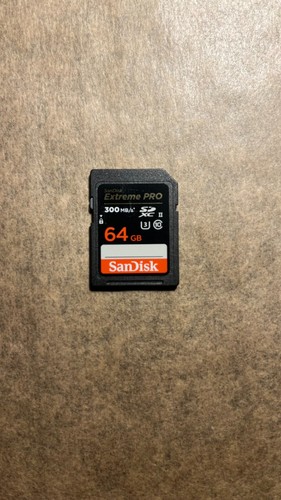 Scheda memoria sdxc sandisk - scheda, di