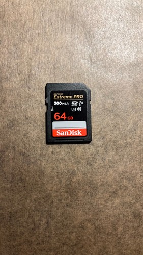 Scheda memoria sdxc sandisk - memoria,